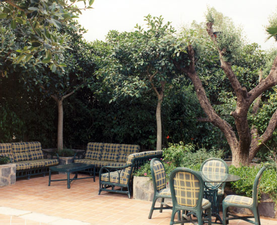 D'Angelo Palace - 1996 -